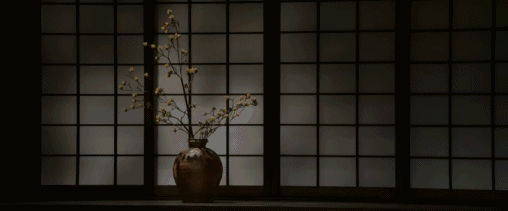 1697703333390137.gif